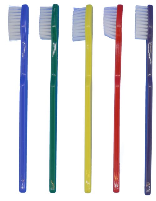 PrePasted Toothbrush